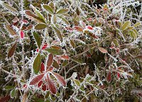 Winter in Britain